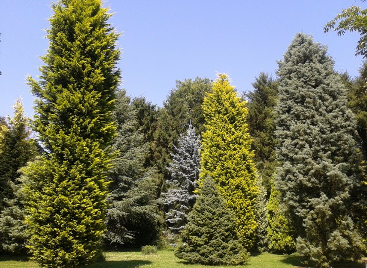 Parc Arboretum du Manoir aux Loups, Halluin, France, France